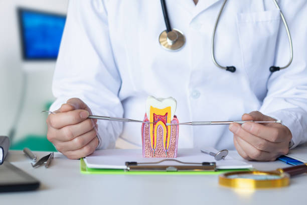 Best Orthodontic Emergency Dentist in Dash Point, WA